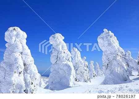 山形県 蔵王の樹氷 山形県 蔵王の樹氷 78026197