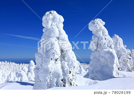 山形県 蔵王の樹氷 山形県 蔵王の樹氷 78026199