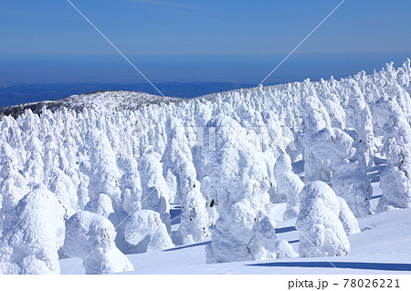 山形県 蔵王の樹氷 山形県 蔵王の樹氷 78026221