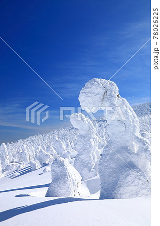 山形県 蔵王の樹氷 山形県 蔵王の樹氷 78026225