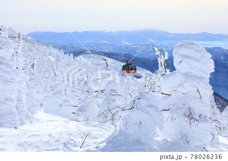 山形県 蔵王の樹氷 山形県 蔵王の樹氷 78026236