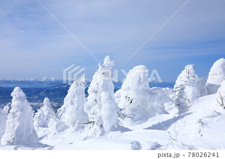 山形県 蔵王の樹氷 山形県 蔵王の樹氷 78026241