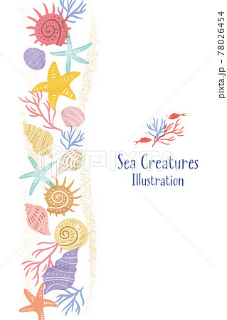 貝殻の手描きイラスト 縦レイアウトのイラスト素材
