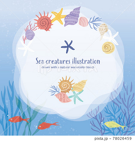 海の生き物のイラスト/サークルフレーム青 海の生き物のイラスト/サークルフレーム青 78026459