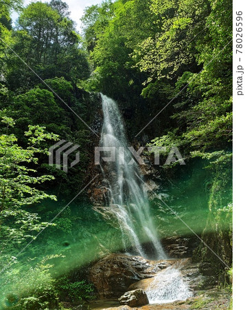 日本の秘境百景に選ばれた龍頭峡の奥の滝 日本の秘境百景に選ばれた龍頭峡の奥の滝 78026596