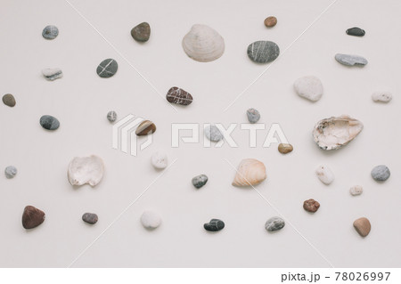 Sea shells pattern on white background. Summer concept. Flat lay, top view 78026997
