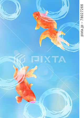 金魚の水彩画 青背景のイラスト素材