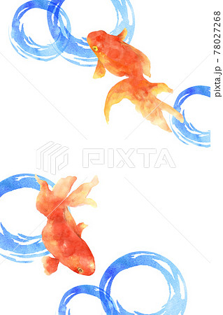 金魚の手描き水彩画のイラスト素材