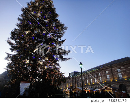 【ストラスブール】クレベール広場の巨大ツリー 【ストラスブール】クレベール広場の巨大ツリー 78028176