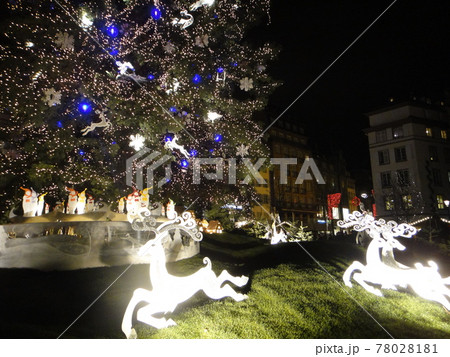 【ストラスブール】クレベール広場の巨大ツリー 【ストラスブール】クレベール広場の巨大ツリー 78028181