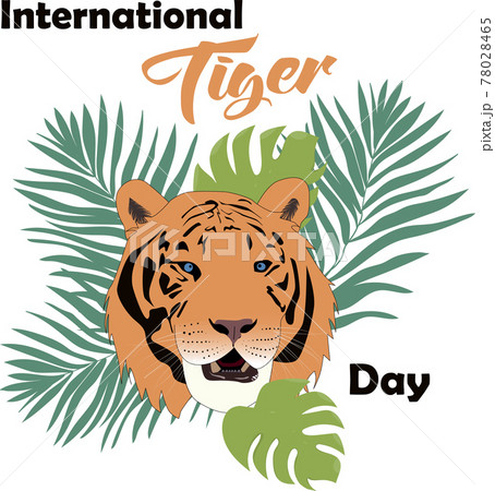 International Tiger Day - greeting card with tiger head and leaves. Vector illustration International Tiger Day - greeting card with tiger head and leaves. Vector illustration 78028465