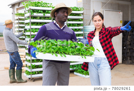 Man and woman talking at plant nursery Man and woman talking at plant nursery 78029261