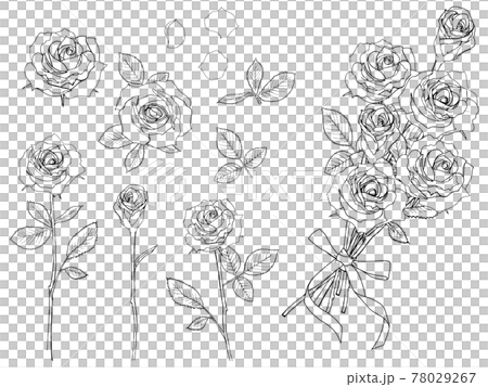 玫瑰花線描集 78029267