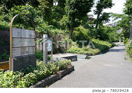 三ツ沢せせらぎ緑道 三ツ沢せせらぎ緑道 78029428