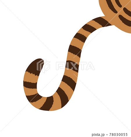 かわいい動物のしっぽ 猫 トラのしましまの尾と背中 22年の干支 虎の素材 茶色 オレンジのイラスト素材