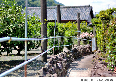 漁師町の裏路地風景 漁師町の裏路地風景 78030830