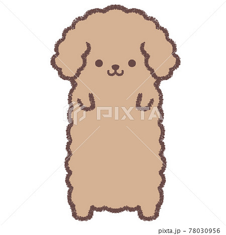トイプードル短冊のイラスト素材