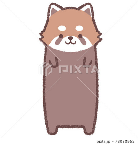 Red Panda Strip Stock Illustration