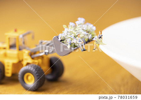 ホイールローダーのバケットにいっぱいのノハラムラサキの花を贈る男性と受取る女性 78031659