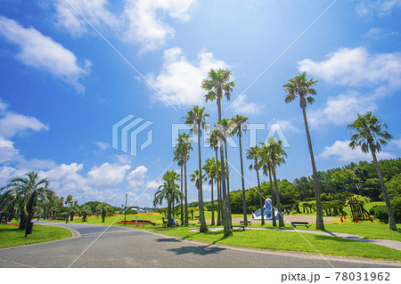 辻堂海浜公園 78031962