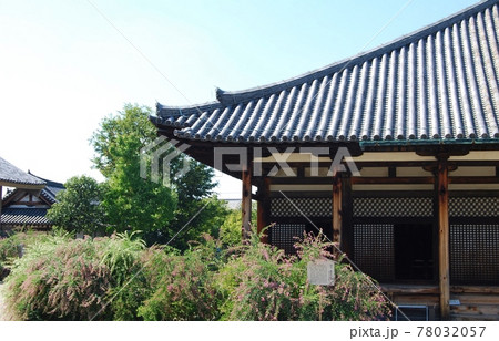 元興寺極楽坊と萩の花 78032057