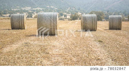 Four hay stacks in a field, selective focus 78032847