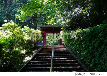 豊顕寺 赤門 78033722