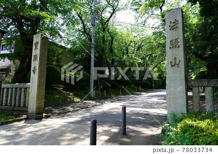 豊顕寺 参道 豊顕寺 参道 78033734