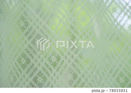 カーテンに透ける庭の新緑2 カーテンに透ける庭の新緑2 78033831