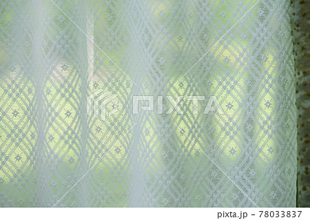 カーテンに透ける庭の新緑6 78033837
