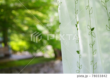 避暑地のレースのカーテン3 78033842