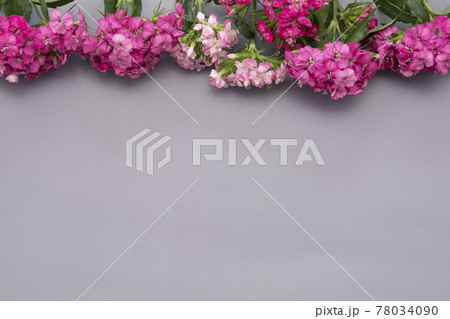 Pink flowers on gray background. Spring, summer floral bouquet abstract walpapper. 78034090