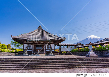 （静岡県）富士宮市　下之坊　春 78034577