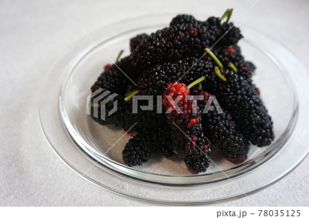 mulberry (桑の実) 4 78035125