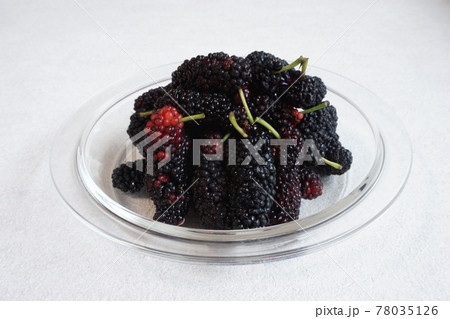 mulberry (桑の実) 5 mulberry (桑の実) 5 78035126
