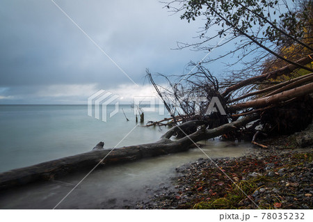 Baltic Sea coast on the island Moen in Denmark Baltic Sea coast on the island Moen in Denmark 78035232