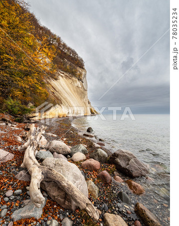 Baltic Sea coast on the island Moen in Denmark 78035234