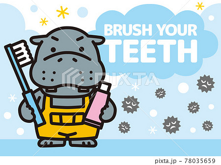歯みがきをするカバくん 歯みがきをするカバくん 78035659