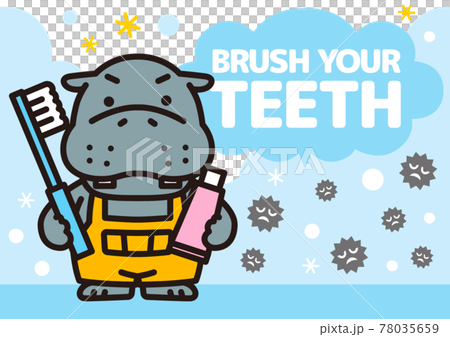 歯みがきをするカバくん 歯みがきをするカバくん 78035659