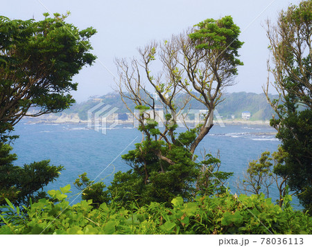 【神奈川】横須賀 長井海の手公園から海を見る 78036113