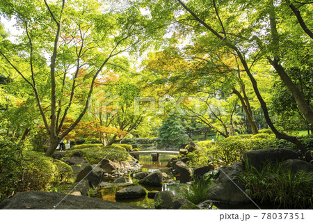 大田黒公園 78037351