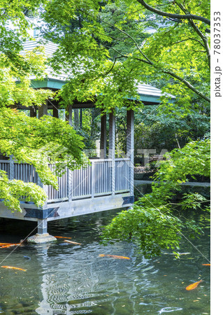 大田黒公園 78037353