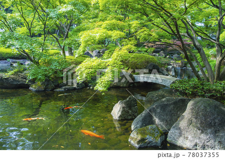 大田黒公園 78037355