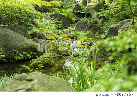 大田黒公園 大田黒公園 78037357