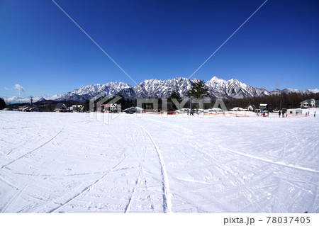 冬の戸隠連峰を望むゲレンデ（長野県） 78037405