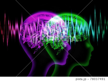 ネットワークコミュニケーション 78037491