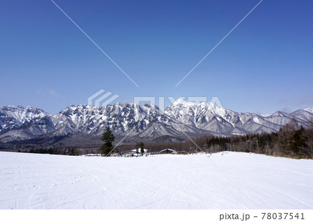 冬の戸隠連峰を望むゲレンデ(長野県) 冬の戸隠連峰を望むゲレンデ(長野県) 78037541