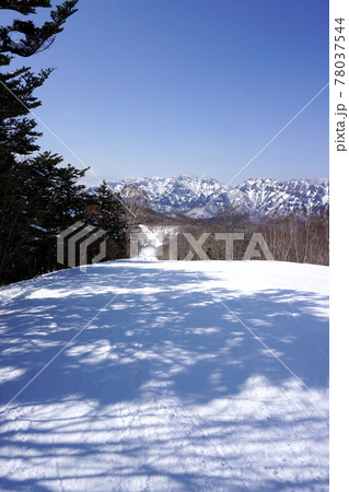 冬の戸隠連峰を望むゲレンデ（長野県） 78037544
