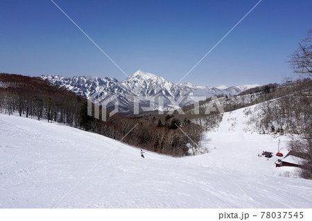冬の戸隠連峰を望むゲレンデ（長野県） 78037545