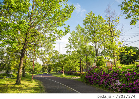 《愛知県》尾張広域緑道 78037574